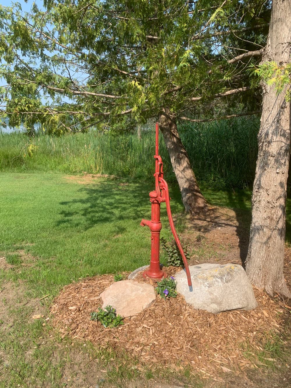 Red vintage hand pump surrounded by greenery and rocks in a serene outdoor setting.