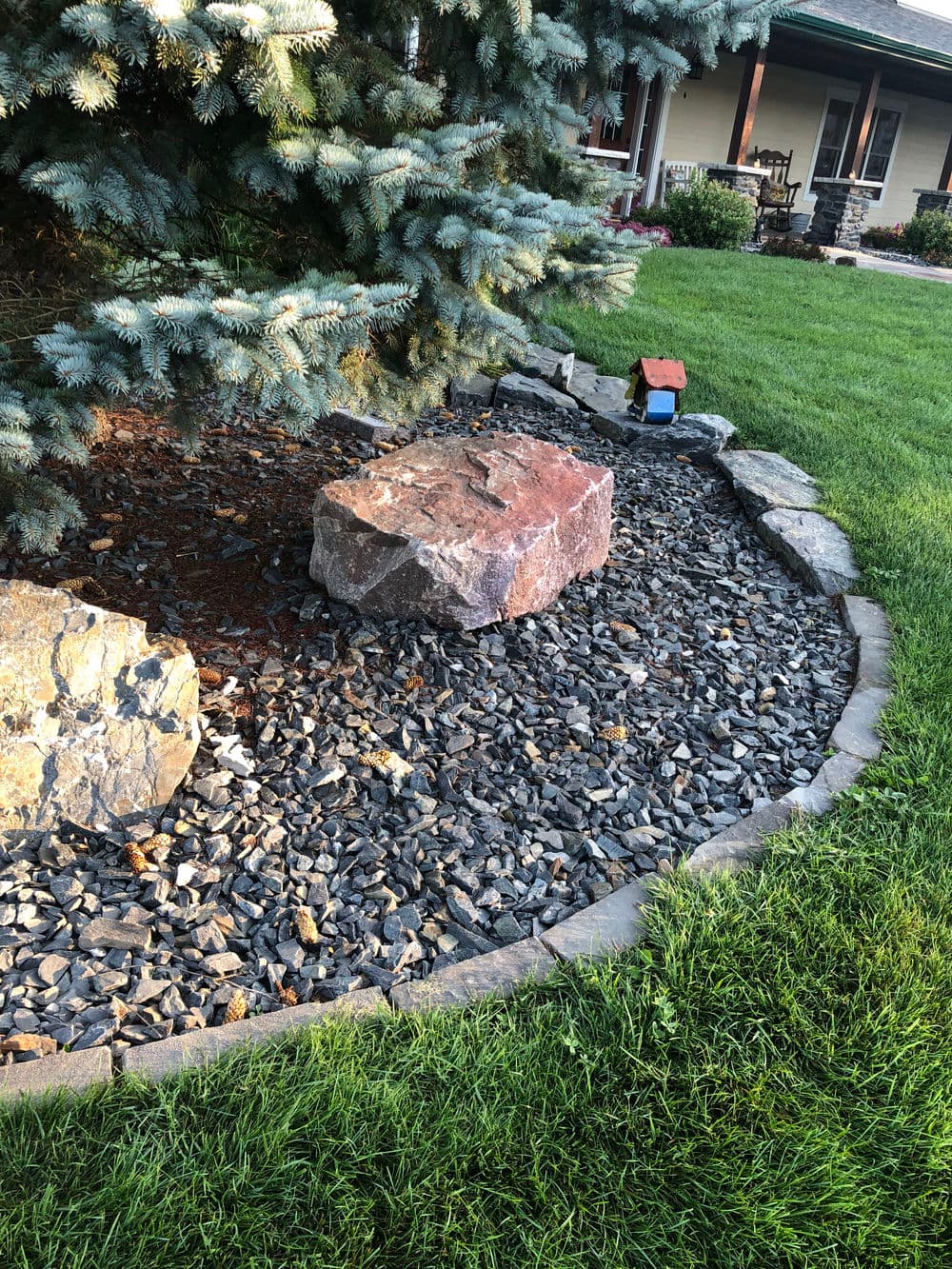 Landscape featuring decorative rocks and gravel beneath a blue spruce tree. Well-maintained garden.