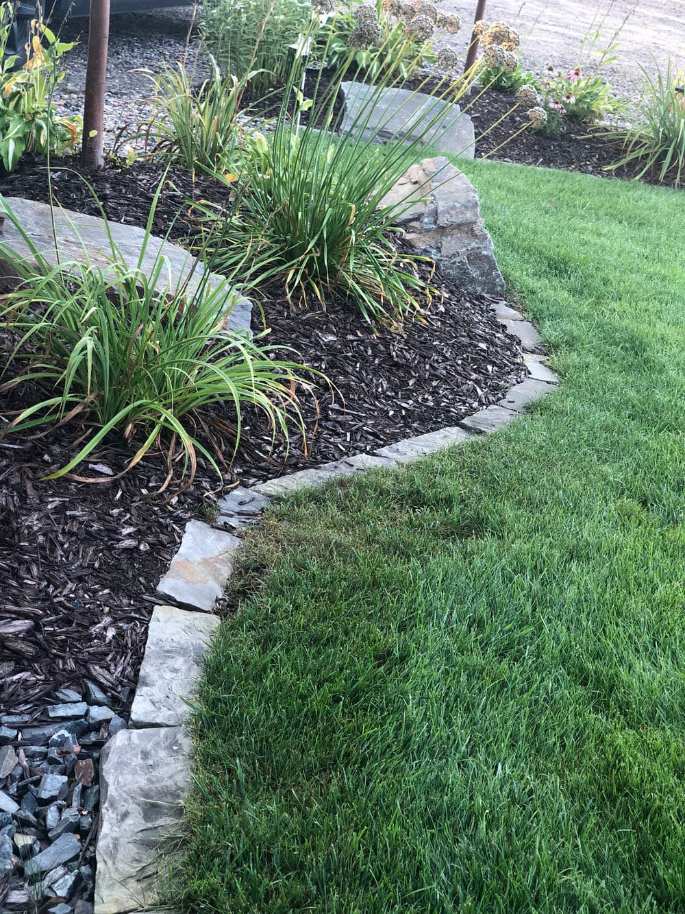 Lush garden with stone edging, ornamental grasses, and well-maintained mulch pathway.