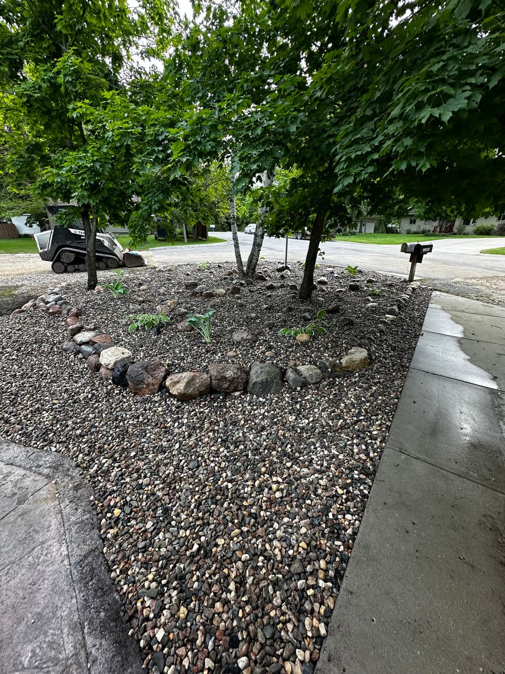 Landscaped garden with rocks, plants, and trees near a driveway and street.
