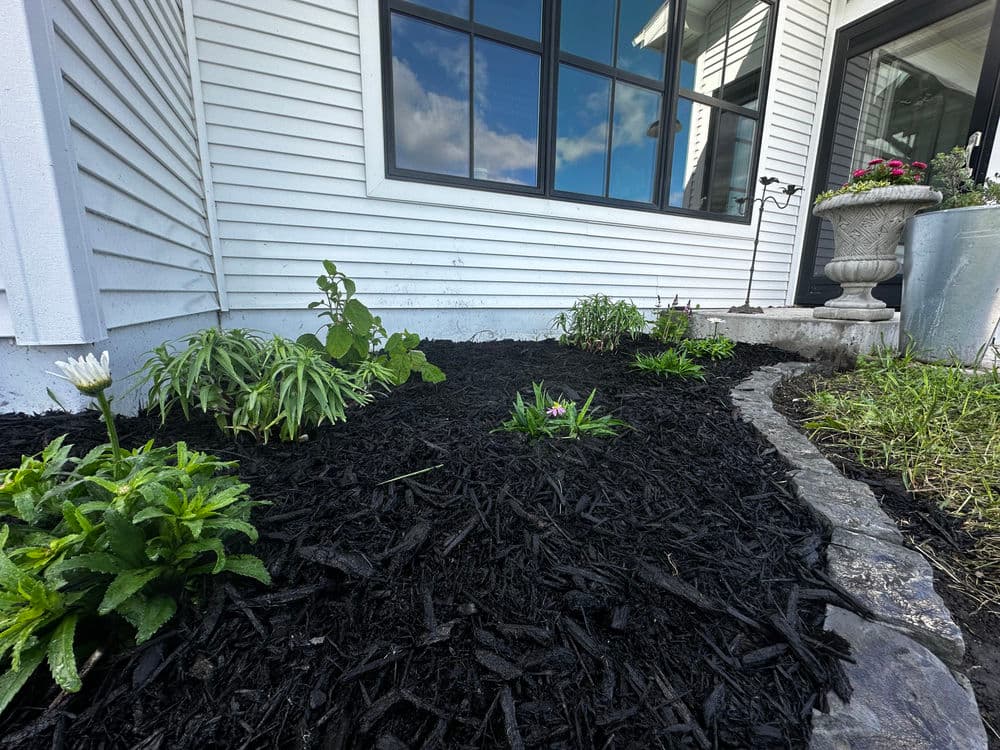 Flower bed with fresh black mulch, plants, and a decorative planter beside a house.