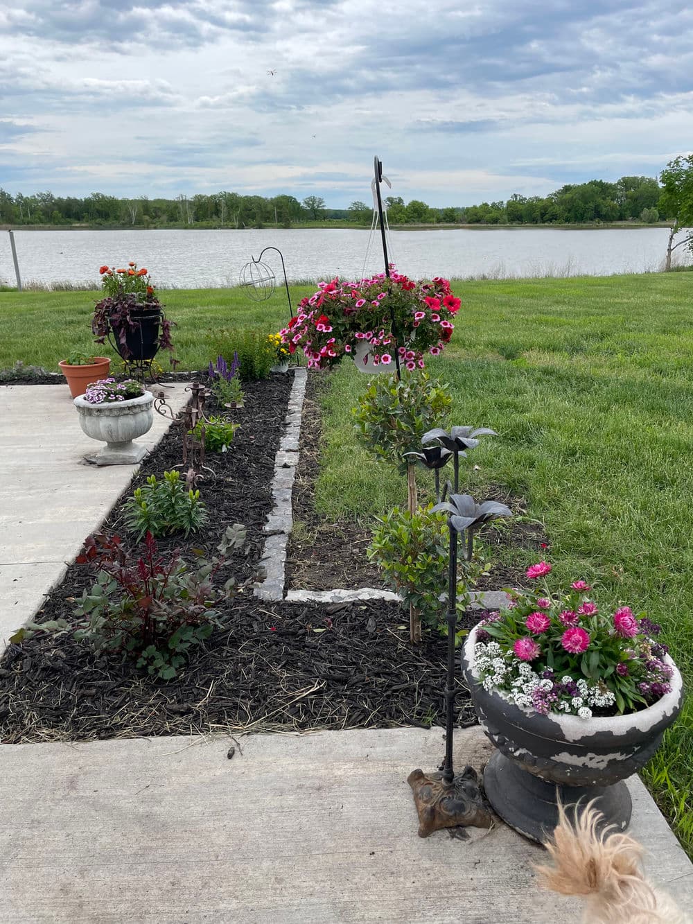 Colorful flower garden with planters by a lake under a cloudy sky. Green grass and mulch.