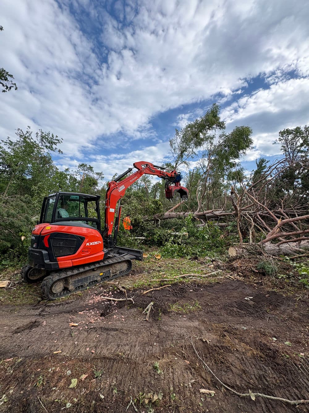 Excavator clearing downed tree limbs in a forest after storm damage. Blue skies above.