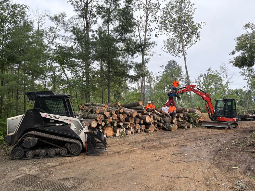 Logging equipment and workers processing timber in a forested area with cut logs stacked.