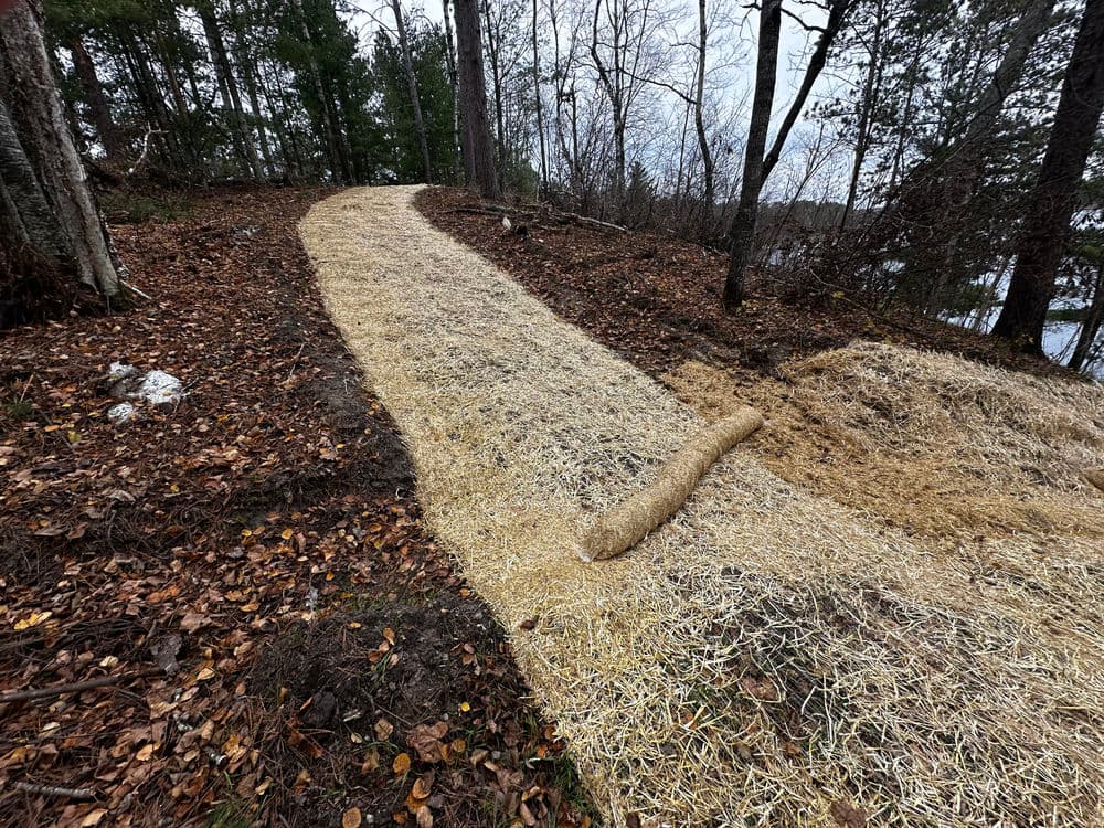 Newly constructed pathway lined with straw, surrounded by autumn leaves and trees.