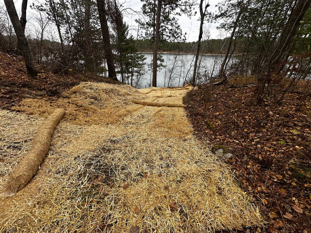 Straw erosion control matting on a lakeside path surrounded by trees.