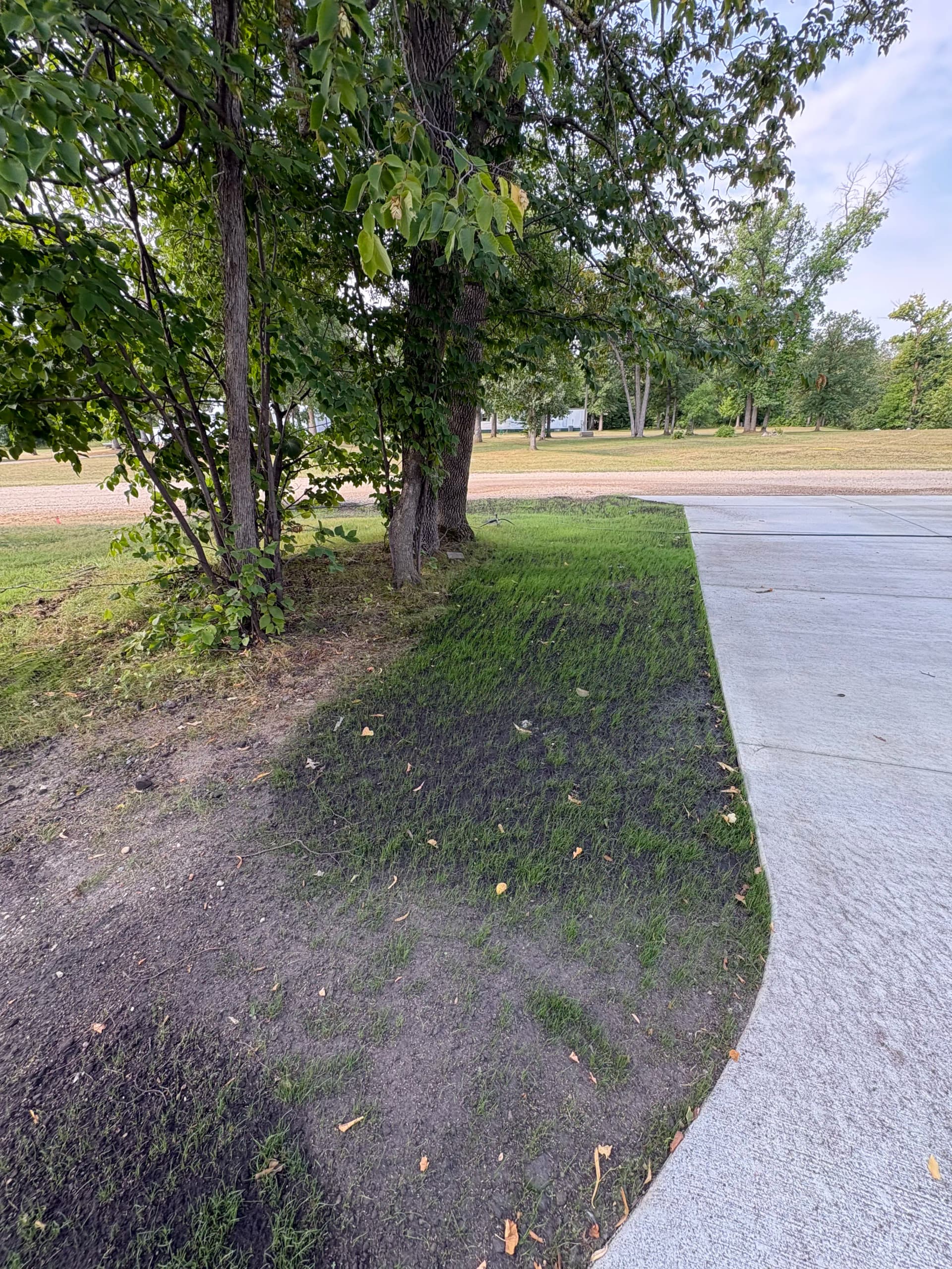 Gallery photos for New Construction Yard Gets a Complete Landscape Makeover: Image #7