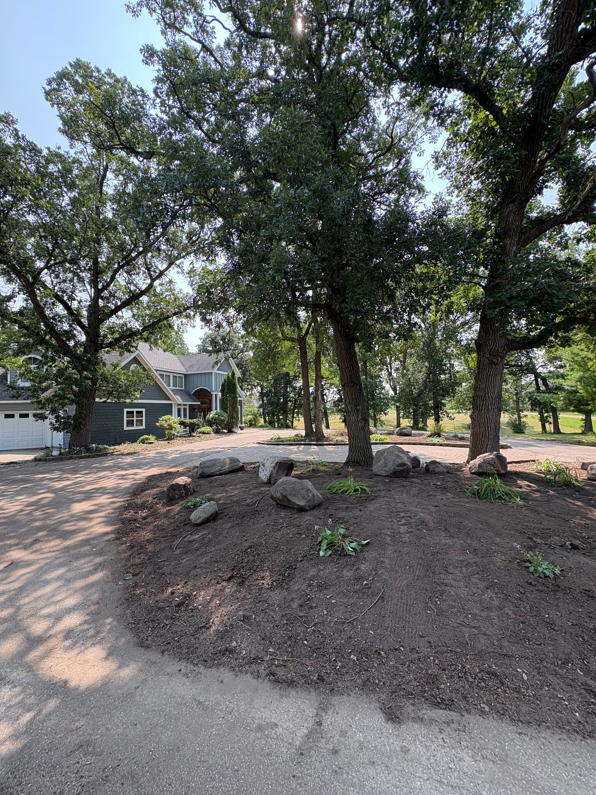 Gallery photos for Overgrown to Show-Ready with a Property Landscape Cleanup: Image #9