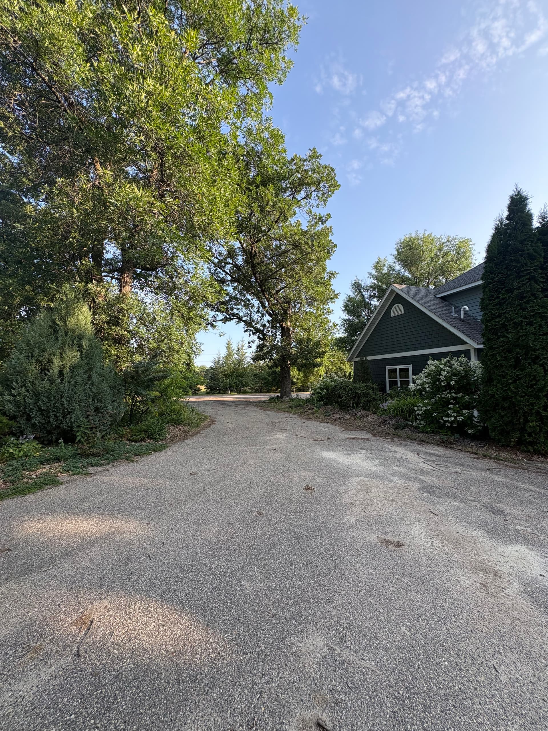 Gallery photos for Overgrown to Show-Ready with a Property Landscape Cleanup: Image #2