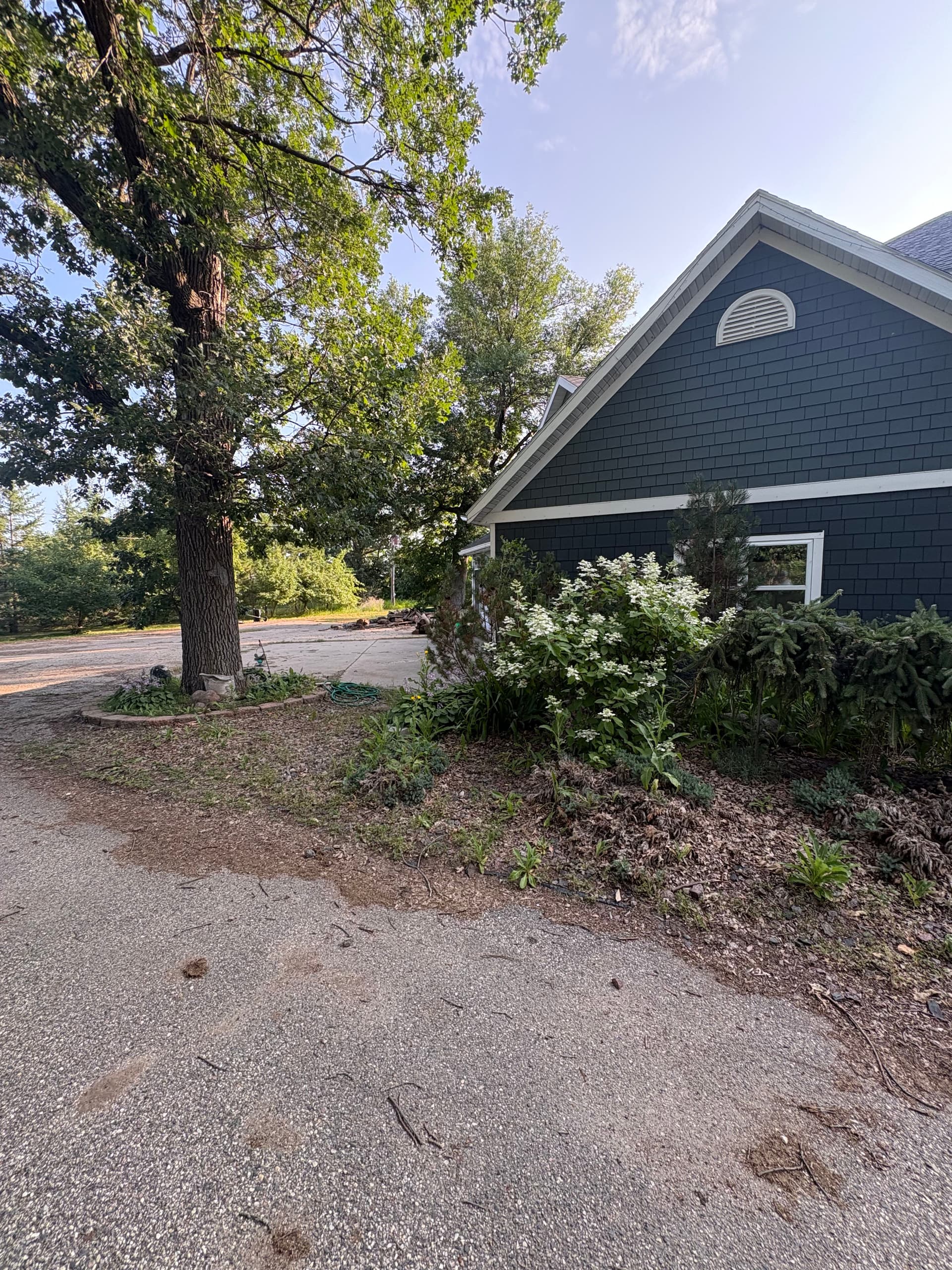 Gallery photos for Overgrown to Show-Ready with a Property Landscape Cleanup: Image #4