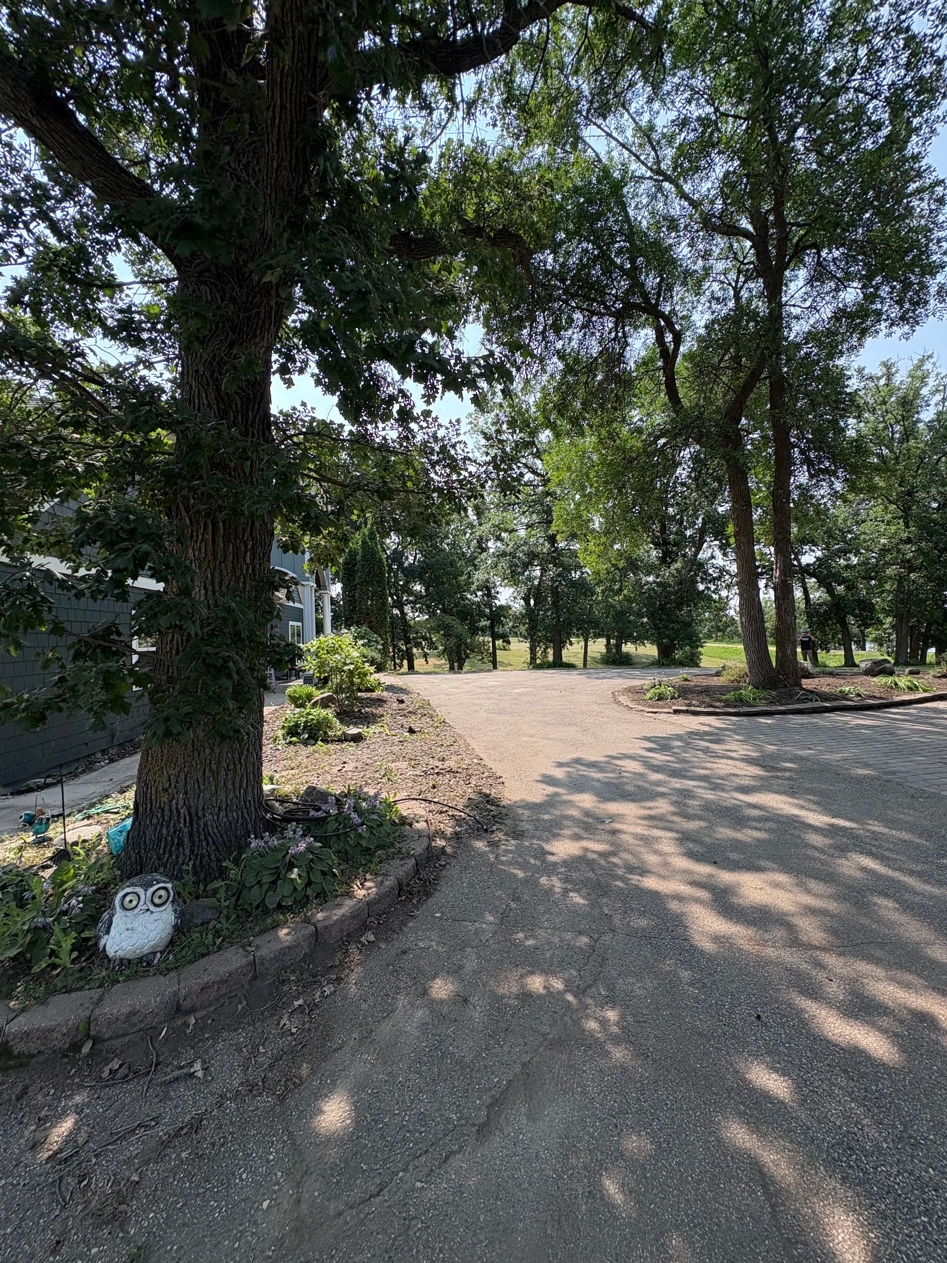 Gallery photos for Overgrown to Show-Ready with a Property Landscape Cleanup: Image #8