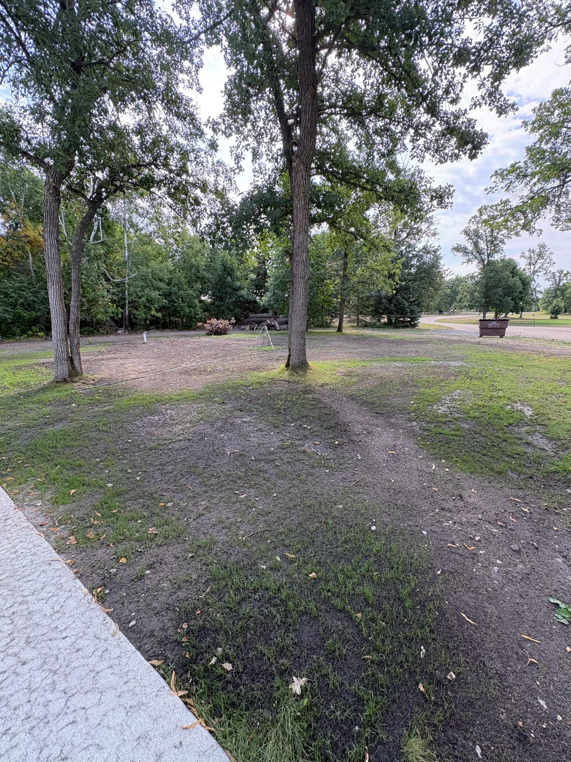 Gallery photos for New Construction Yard Gets a Complete Landscape Makeover: Image #8