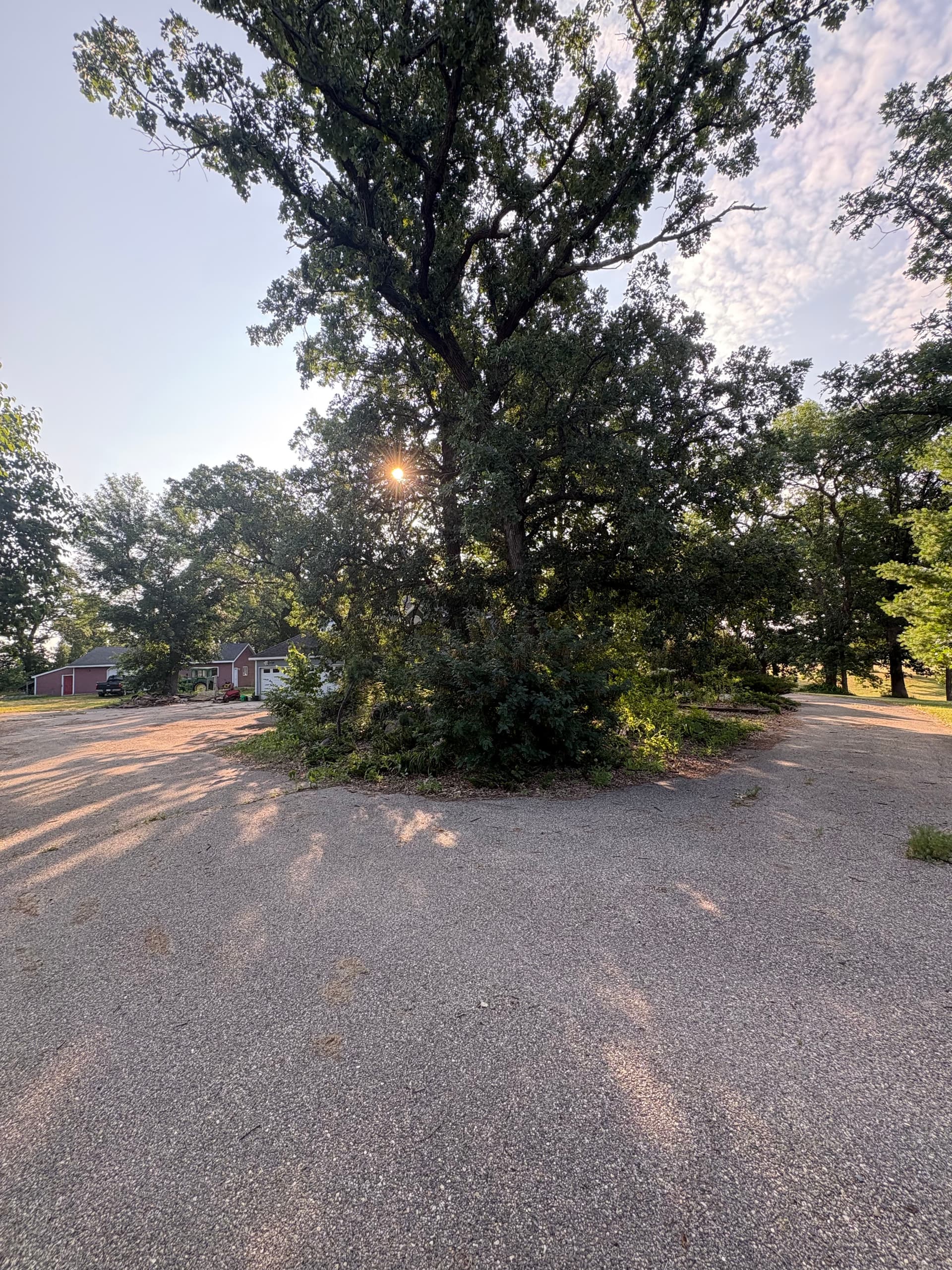 Overgrown to Show-Ready with a Property Landscape Cleanup image